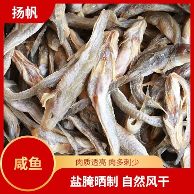 咸鱼源头厂家咸香可口鱼干风干淡晒咸鱼自然风干肉多刺少图5
