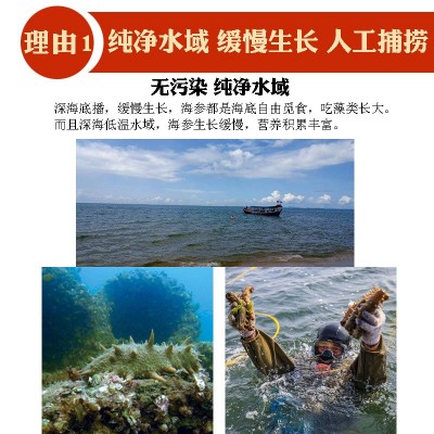 淡干海参特价小海参干货非野生大连辽刺参即食海参礼盒装直播代发图4