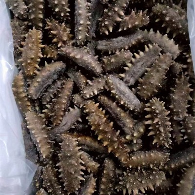 源头厂家 即食海参批发鲜食海参500g大连海参辽刺参海参礼盒批发图4
