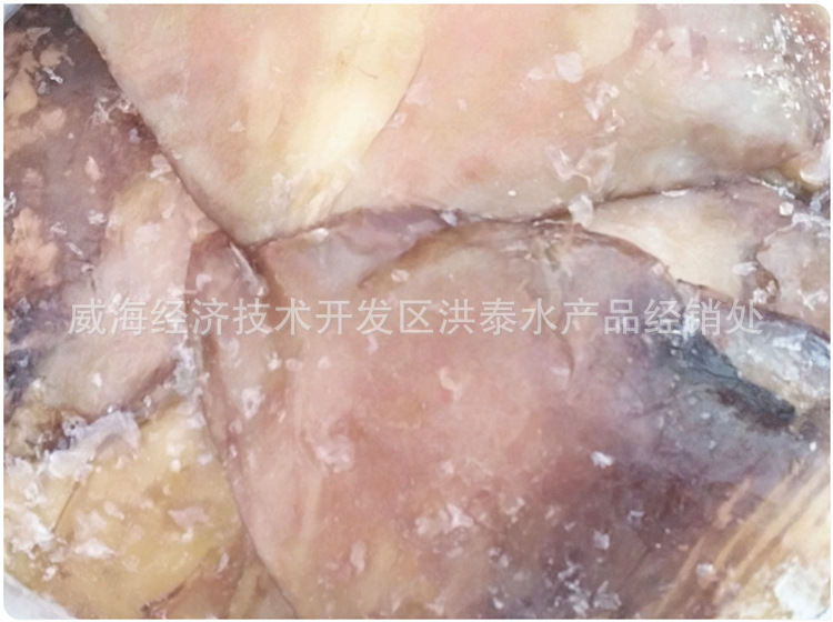 鱿鱼耳-8_副本.jpg