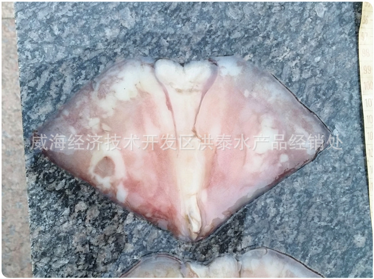 鱿鱼耳-9-2_副本.jpg