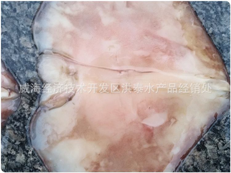 鱿鱼耳-9-3_副本.jpg