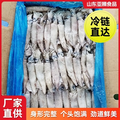 笔管鱼鲜活冷冻野生商用全籽海兔子厂家供应水产熟冻天然带籽籽乌图2