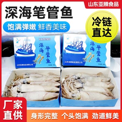 笔管鱼鲜活冷冻野生商用全籽海兔子厂家供应水产熟冻天然带籽籽乌图5