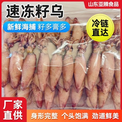 纯籽籽乌厂家批发新鲜海捕带籽冷冻海兔火锅烹饪饭店新鲜全籽籽乌图2