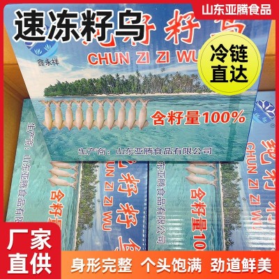 纯籽籽乌厂家批发新鲜海捕带籽冷冻海兔火锅烹饪饭店新鲜全籽籽乌图3