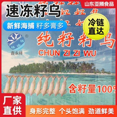 纯籽籽乌厂家批发新鲜海捕带籽冷冻海兔火锅烹饪饭店新鲜全籽籽乌图4