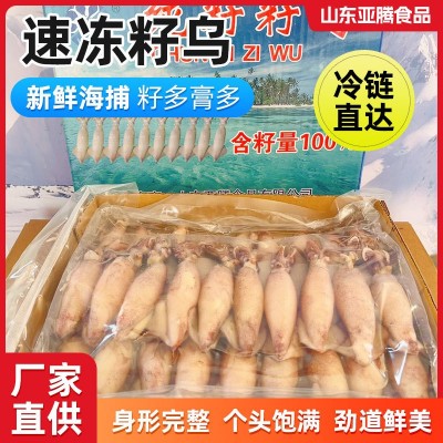 纯籽籽乌厂家批发新鲜海捕带籽冷冻海兔火锅烹饪饭店新鲜全籽籽乌图5