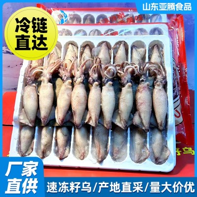 厂长直供批发冷库直发速冻籽乌火锅红烧爆炒海鲜水产海兔无籽籽乌图2
