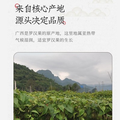 广西正宗桂林特产罗汉果干果大果批发搭配胖大海泡茶果50mm~55mm图5