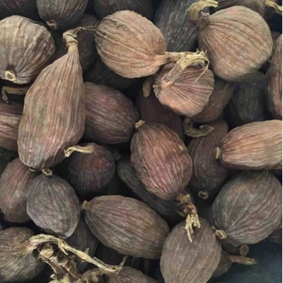 香料大全八角桂皮小茴香叶草果山奈砂仁白扣荜拨丁香孜然调味卤料图2