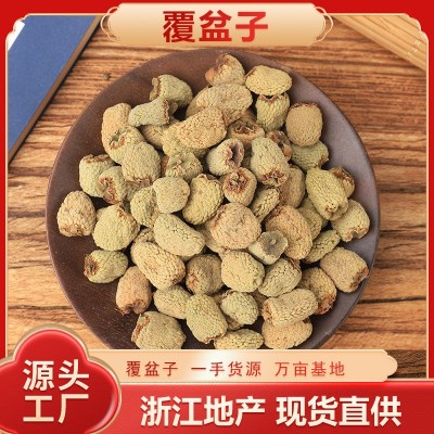 覆盆子浙江批发万亩基地一手货源大颗粒无杂无硫磺优质精选覆盆子