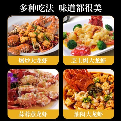 鲜活海捕野生小青龙虾野生大龙虾餐饮食材原料活冻小青龙图1