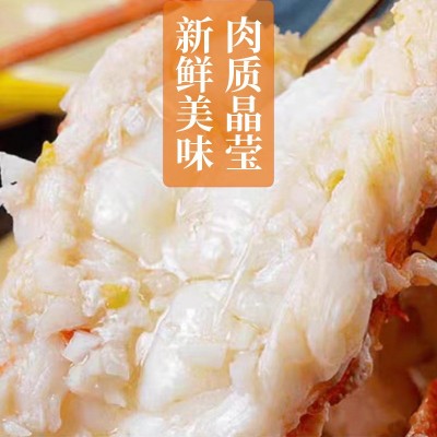 鲜活海捕野生小青龙虾野生大龙虾餐饮食材原料活冻小青龙图3