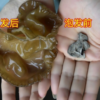 东北黑木耳秋木耳纯天然晒干不带根不增重无干燥剂东北散装直发图3