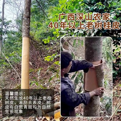 广西特一级老树桂皮肉桂香料调料八角茴香产地晒干直发可批发图3