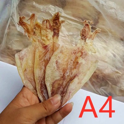 批发北海烧烤鱿鱼干货KTV酒吧手撕芥末干尤A2/A3巴掌干鱿鱼片500g图4