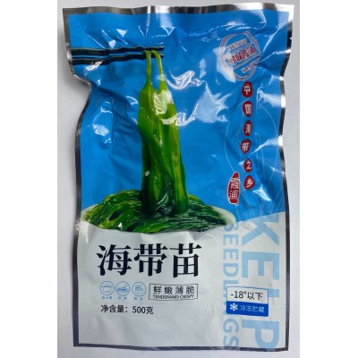 【团购电商用】盐渍海带苗5斤包邮代发 鲜嫩海带嫩芽海带批发图5