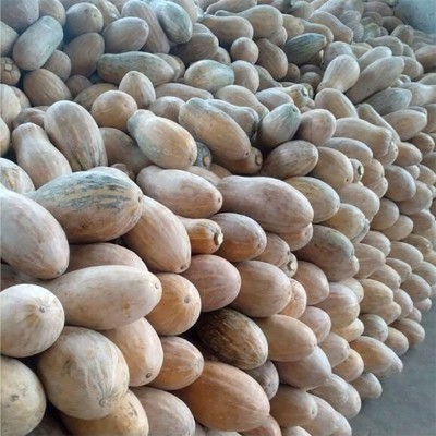 老南瓜新鲜农家自种辅食甜南瓜板栗味包邮蔬菜批发图5