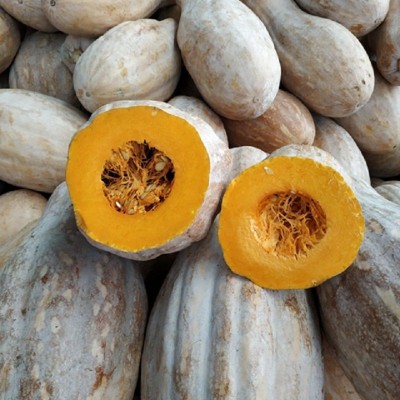 老南瓜新鲜农家自种辅食甜南瓜板栗味包邮蔬菜批发图4