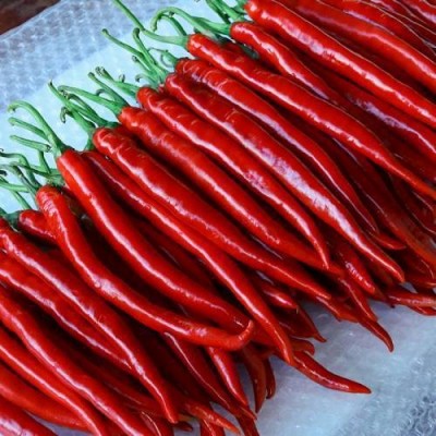 5斤新鲜贵州红辣椒二荆条红线椒红海椒辣子蔬菜长辣椒包邮图5