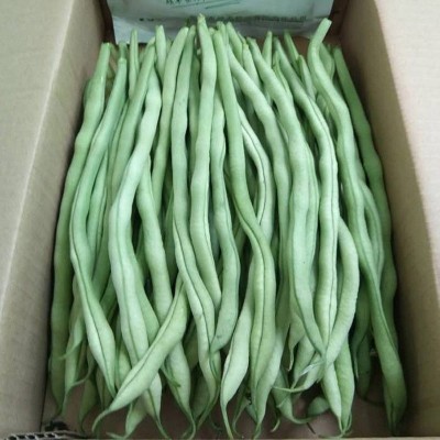 5斤包邮现摘新鲜豆角农家新鲜蔬菜芸豆角无茎豆图5