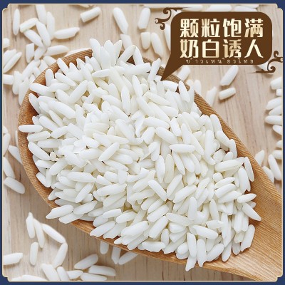 定制泰国原粮黑糯米白糯米饭团米进口寿司餐饮店台湾饭团专用贴牌图3