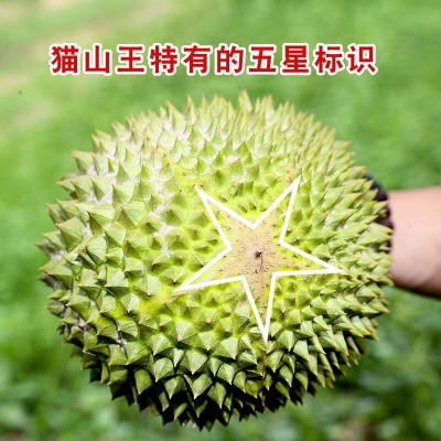 保4房猫山王榴莲带壳液氮冷冻进口正宗榴莲鲜果顺丰包邮量大优惠图2