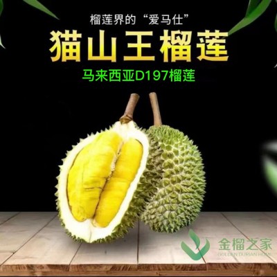 保4房猫山王榴莲带壳液氮冷冻进口正宗榴莲鲜果顺丰包邮量大优惠图3