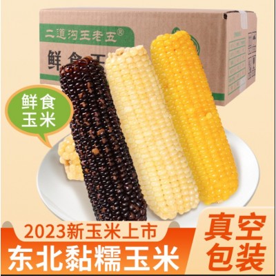 东北玉米 新货尝鲜甜糯香黏粘玉米棒真空袋装可代发 黄黑白黏玉米图1