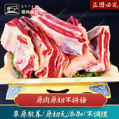 黄膘牛排原切牛排骨新鲜牛肋排锡盟草原牛肉内蒙手把牛排商用批发图2