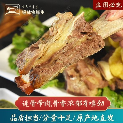 黄膘牛排原切牛排骨新鲜牛肋排锡盟草原牛肉内蒙手把牛排商用批发图4