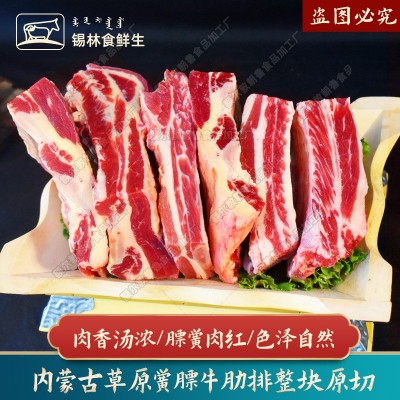 黄膘牛排原切牛排骨新鲜牛肋排锡盟草原牛肉内蒙手把牛排商用批发图5