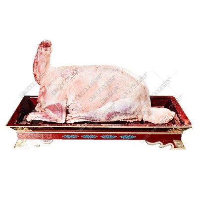 整只羊内蒙羔羊烤全羊羔羊肉白条全羊肉整只不育肥不进口批发全羊