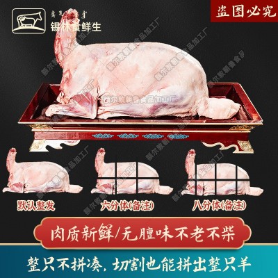 整只羊内蒙羔羊烤全羊羔羊肉白条全羊肉整只不育肥不进口批发全羊图4