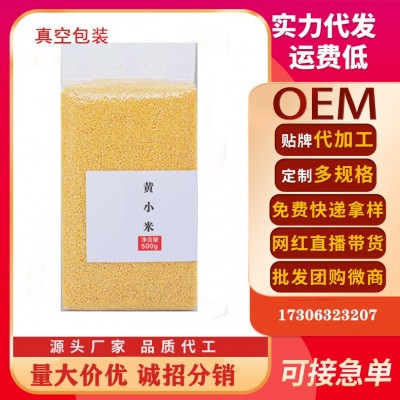 黄小米500g批发散装内蒙古金苗K1新米农家香糯小米五谷杂粮粥粗粮图2