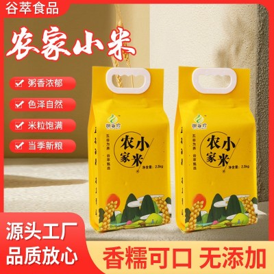 黄小米真空袋装小米五谷杂粮黄小米