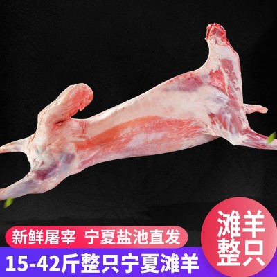 宁夏盐池滩羊 新鲜现杀整只白条羊 烤全羊手抓羊肉烧烤火锅涮羊肉图2