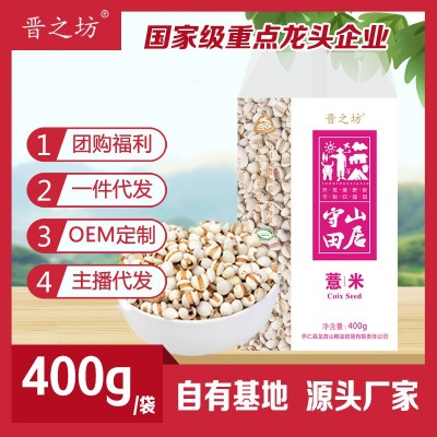 晋之坊薏仁米 生薏米400g熟薏苡仁红豆薏米粥料煮粥配料五谷杂粮图2