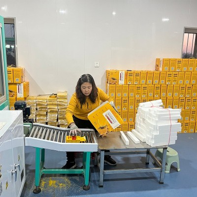 敖谷神州内蒙古赤峰敖汉小米4kg 一类小米米砖金苗K1黄小米礼盒图3
