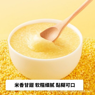 内蒙古赤峰有机黄金苗小米罐装2.3kg新米五谷杂粮小米粥小米批发图4
