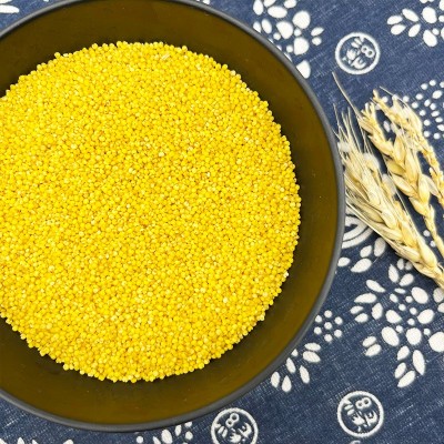 蔚县黄小米蔚州贡米桃花8311黄米粮五谷黍子小米加工定制外贸出口图5
