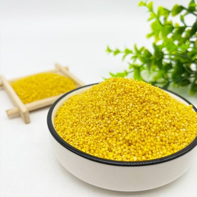 蔚县黄小米蔚州贡米桃花8311黄米粮五谷黍子小米加工定制外贸出口图3