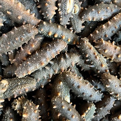 大连海参冻煮原料商用家用冻煮海参食品海参一件代发图2