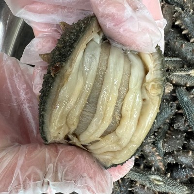 大连海参冻煮原料商用家用冻煮海参食品海参一件代发图4