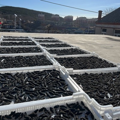 深海大连海参纯淡干海参干货批发海参礼盒海参干货散装非即食海参图5