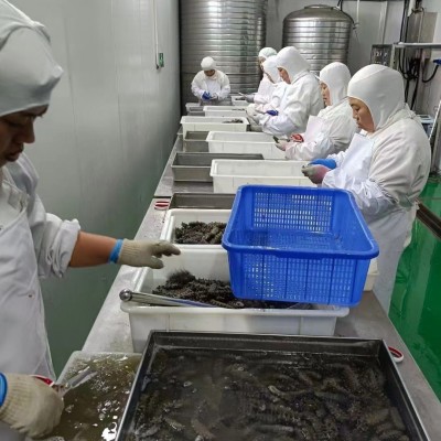 海参批发5A即食海参10-25头500g辽刺参酒店餐饮食材电商定制代发图3
