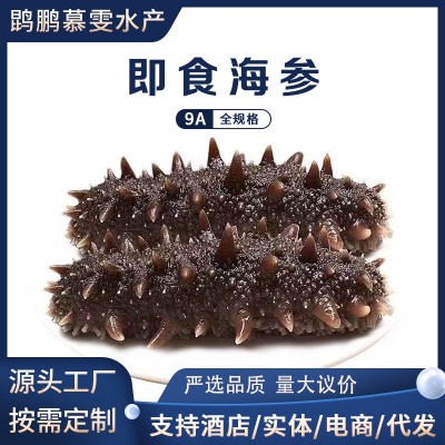 9A大连海参即食底播辽参鲜活加工支持团购代发非淡干海参 顺丰包邮图5