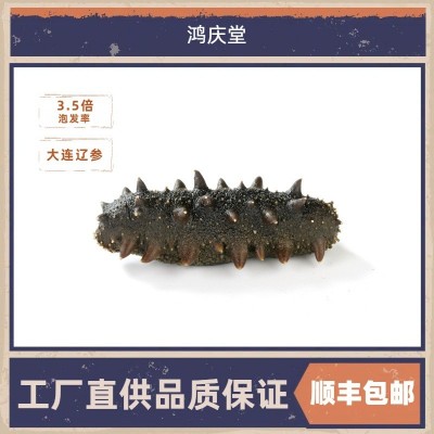 定制半干海参送礼大连特产干货刺参500g礼盒装家庭烹饪鲜食辽参图3