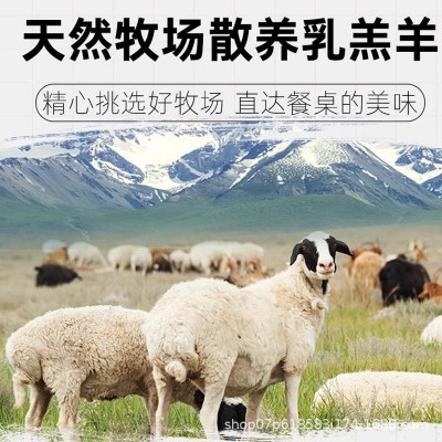 碱滩羊 草原散养羊肉带骨半只羊羔羊羊肉商用批发图2